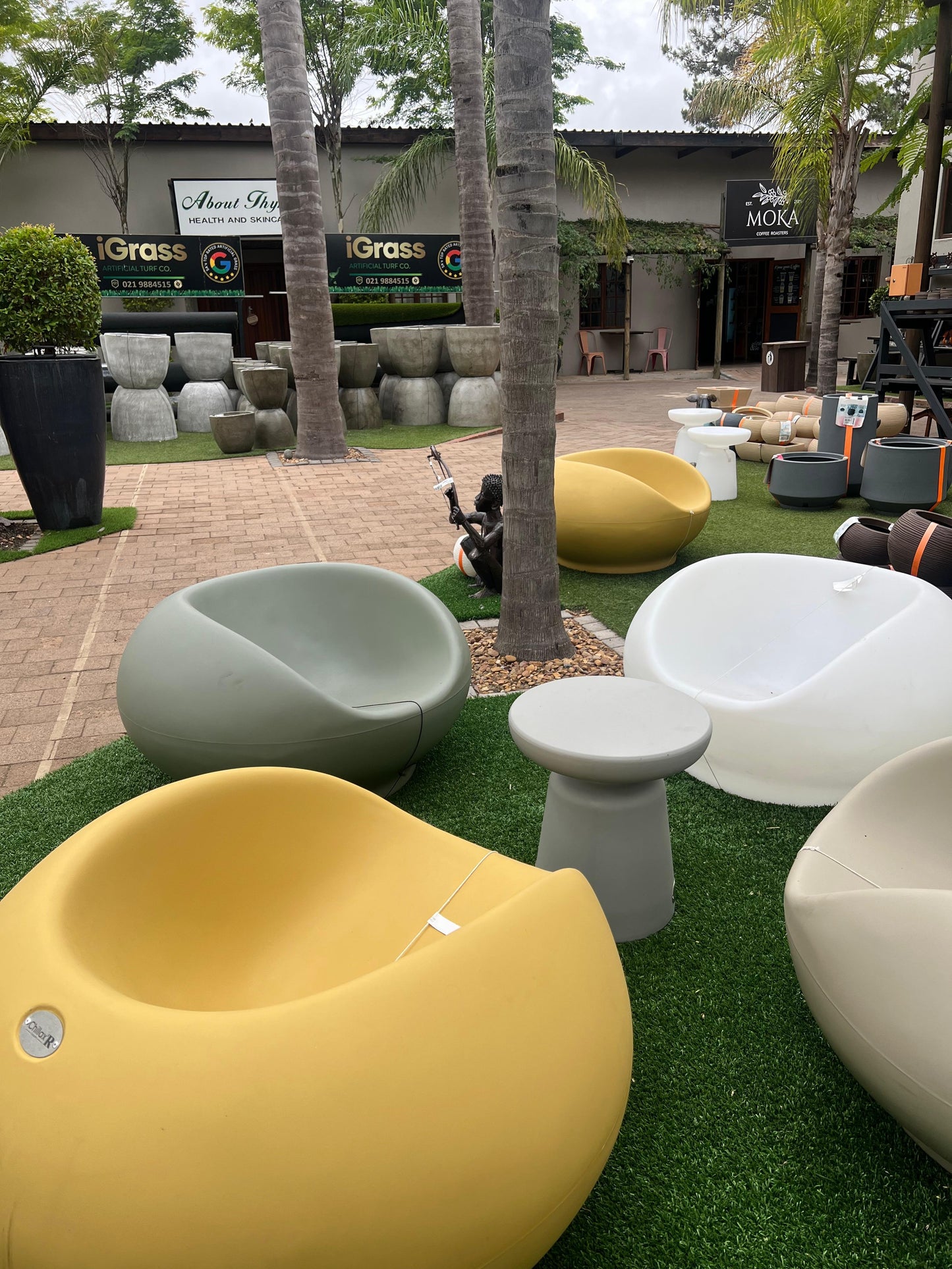 Garden range - Mustard